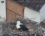 Capi_Dubne_20250424_161502.jpg