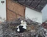 Capi_Dubne_20250424_162502.jpg