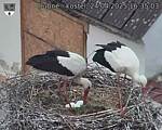 Capi_Dubne_20250424_163503.jpg