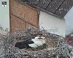 Capi_Dubne_20250424_164503.jpg