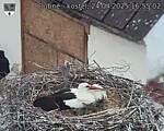 Capi_Dubne_20250424_165502.jpg