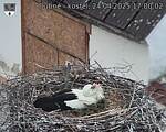 Capi_Dubne_20250424_170002.jpg