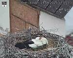 Capi_Dubne_20250424_170503.jpg