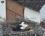 Capi_Dubne_20250424_172502.jpg