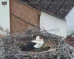 Capi_Dubne_20250424_173503.jpg