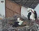 Capi_Dubne_20250424_174003.jpg