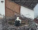 Capi_Dubne_20250424_175502.jpg