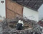 Capi_Dubne_20250424_180504.jpg