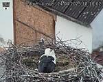 Capi_Dubne_20250424_181002.jpg
