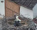 Capi_Dubne_20250424_181502.jpg