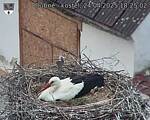 Capi_Dubne_20250424_182502.jpg