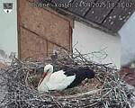 Capi_Dubne_20250424_183002.jpg