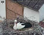 Capi_Dubne_20250424_183502.jpg