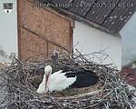 Capi_Dubne_20250424_184004.jpg
