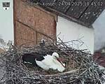 Capi_Dubne_20250424_184502.jpg