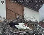 Capi_Dubne_20250424_190004.jpg