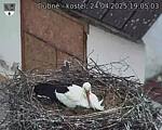 Capi_Dubne_20250424_190503.jpg