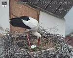 Capi_Dubne_20250424_192003.jpg