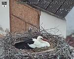 Capi_Dubne_20250424_192503.jpg