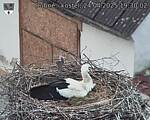 Capi_Dubne_20250424_193002.jpg