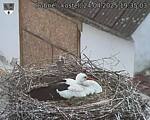 Capi_Dubne_20250424_193503.jpg