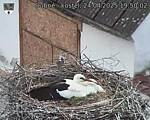Capi_Dubne_20250424_195002.jpg
