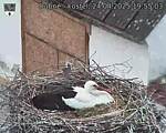 Capi_Dubne_20250424_195503.jpg