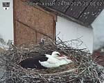 Capi_Dubne_20250424_200002.jpg