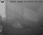 Capi_Dubne_20250424_204003.jpg