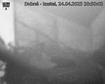 Capi_Dubne_20250424_205002.jpg