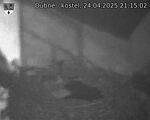 Capi_Dubne_20250424_211502.jpg