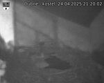 Capi_Dubne_20250424_212002.jpg