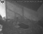 Capi_Dubne_20250424_212503.jpg