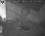 Capi_Dubne_20250424_213502.jpg