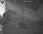 Capi_Dubne_20250424_214503.jpg