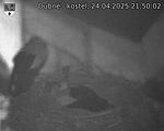 Capi_Dubne_20250424_215002.jpg