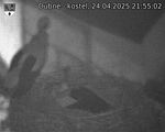 Capi_Dubne_20250424_215502.jpg