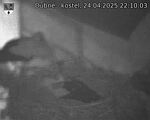 Capi_Dubne_20250424_221003.jpg