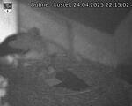 Capi_Dubne_20250424_221502.jpg