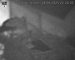 Capi_Dubne_20250424_222002.jpg