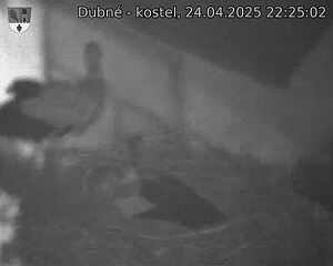 Capi_Dubne_20250424_222502.jpg (1350 x 1080)
