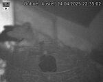 Capi_Dubne_20250424_223502.jpg