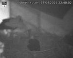 Capi_Dubne_20250424_224002.jpg