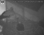 Capi_Dubne_20250424_230002.jpg