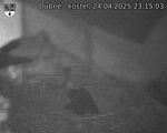 Capi_Dubne_20250424_231503.jpg