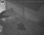 Capi_Dubne_20250424_232503.jpg