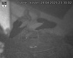 Capi_Dubne_20250424_233002.jpg