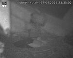 Capi_Dubne_20250424_233502.jpg