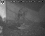 Capi_Dubne_20250424_234003.jpg
