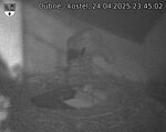 Capi_Dubne_20250424_234502.jpg